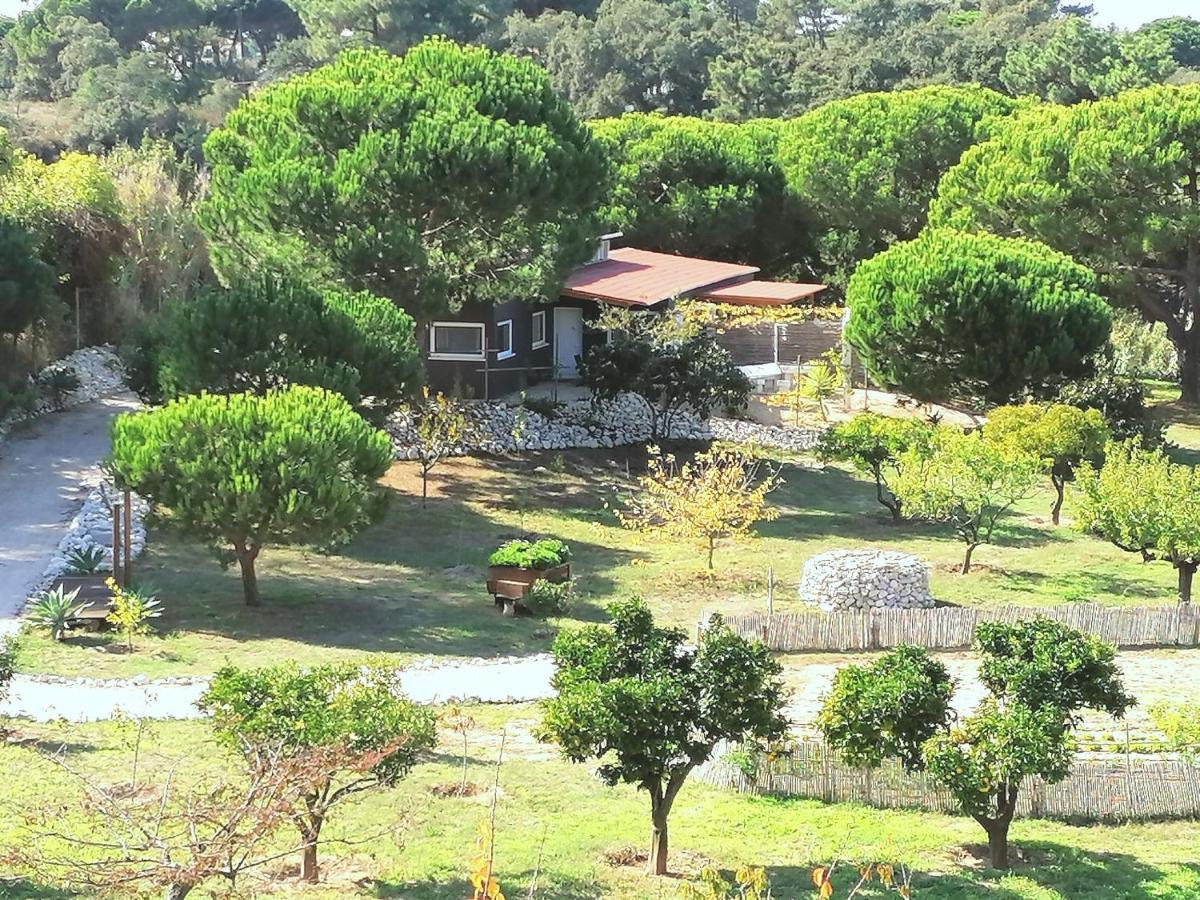 Quinta Do Meco - Beach & Nature Aldeia do Meco Exteriér fotografie